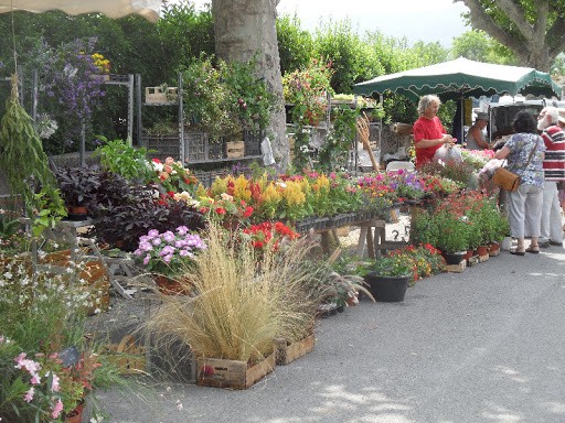 FOIRE  L'HERBORISTERIE